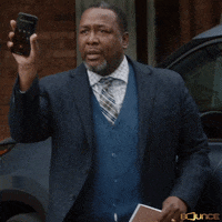 Wendell Pierce No GIF by Bounce