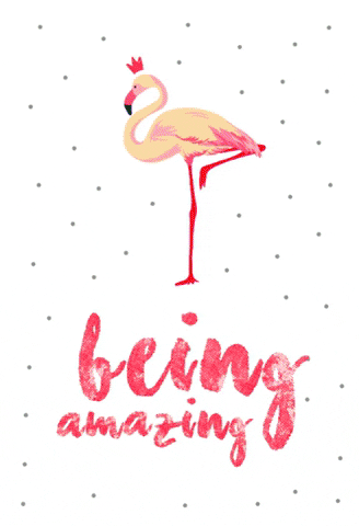 you are amazing greeting cards GIF by Greetings Island