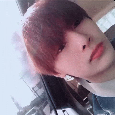 Skz Straykids GIF