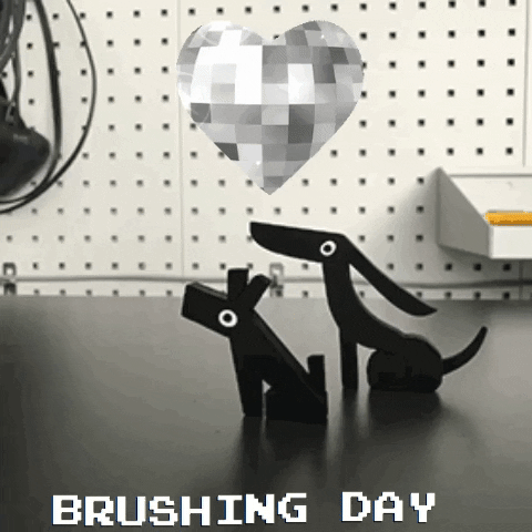 dog brushing GIF by Cap&Pep