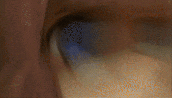 Love Is War Chika Fujiwara GIF