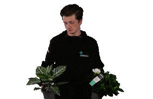 Richplant Sticker