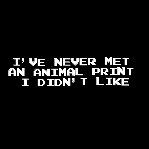 Cheetah Zebra GIF