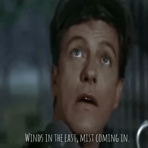 Bert GIF