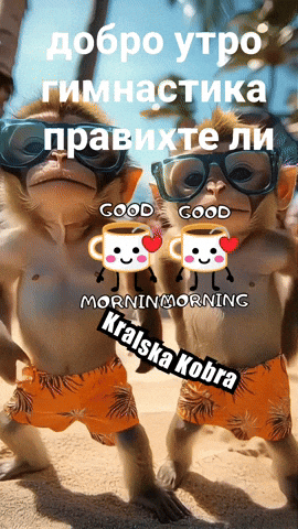Kralska Kobra GIF