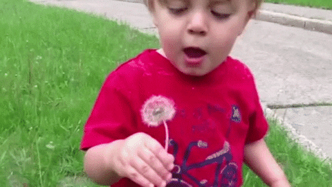 https://media1.giphy.com/media/tKv2NJuBLMV5m/giphy.gif