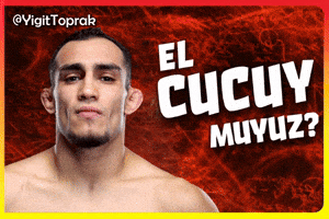 Ufc Ferguson GIF