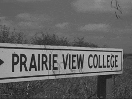 Texas 1940S GIF by US National Archives