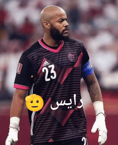 رايس GIF