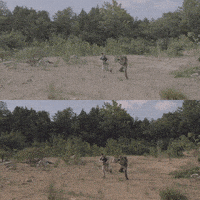 Compositing Visual Effects GIF by ActionVFX