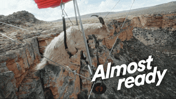 Mountain Goat Fun GIF by Virgin Media