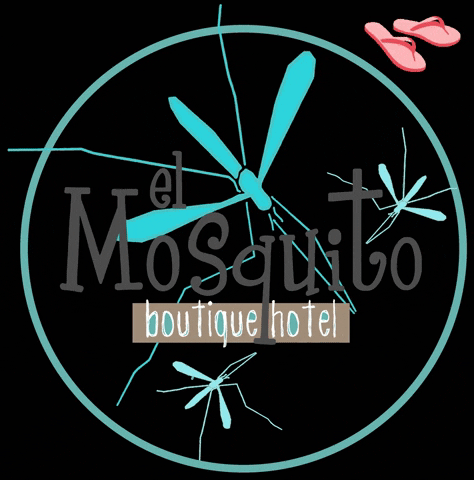 Playabonita GIF by El Mosquito
