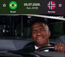 World Cup Brazil GIF