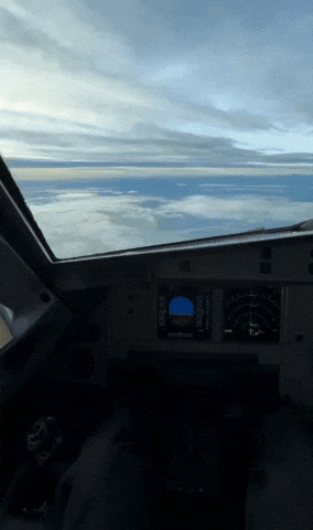 Flying GIF