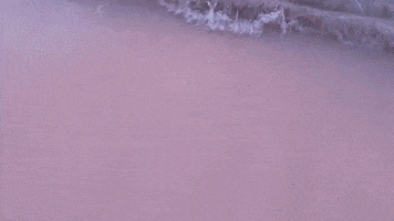 Beach GIF