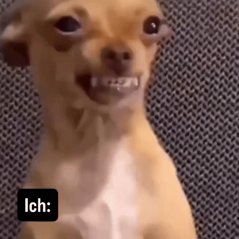 Sad Dog GIF