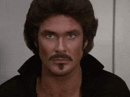close up hoff GIF by Agent M Loves Gifs
