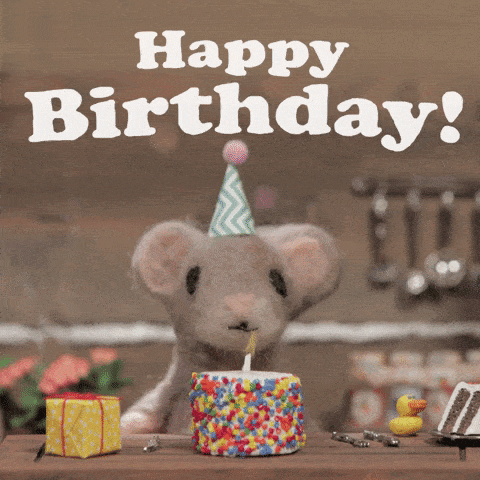 Happy Birthday Mice GIF by Mouse