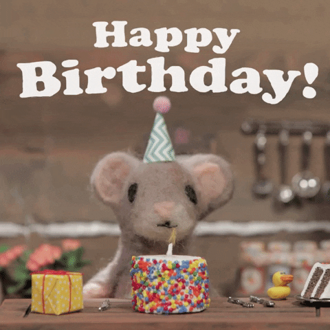 Video gif. Felt mouse seated behind a kitchen counter wearing a birthday hat happily blows out a candle on a cake covered in colorful sprinkles with a gift, utensils, and another cake slice sitting nearby. Text, "Happy birthday!'