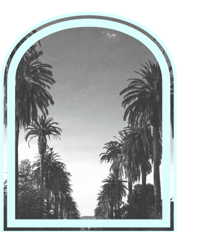 Realtor Stamie Karakasidis Sticker