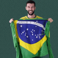 Flag Brazil GIF by Aluron CMC Warta Zawiercie