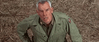 robert aldrich lee marvin the dirty dozen
