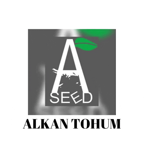 ALKAN TOHUM GIF