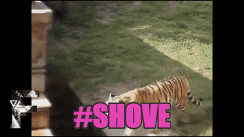 tomahawk  GIF