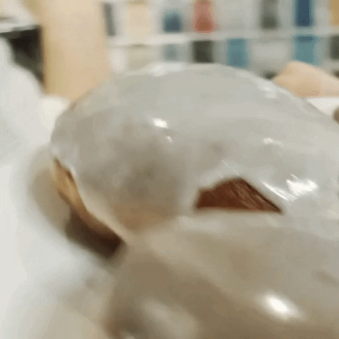 Spooky GIF