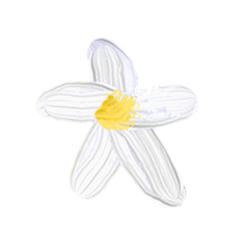 Larroude Sticker