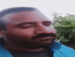 Understand GIF