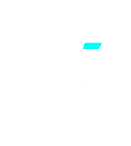 Cfmoto Sticker by BWImport