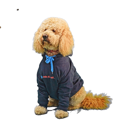 Pets Best Sticker