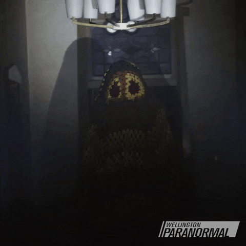 Movie Halloween GIF by Wellington Paranormal