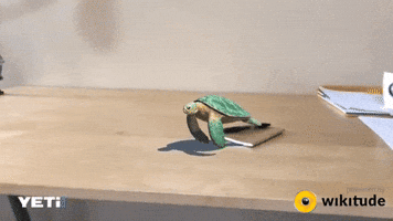 paulamonteiro-b9e0  GIF