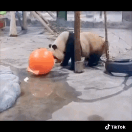 Decerno AB GIF