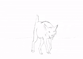 Animation Dog GIF by dan.bahia.dan