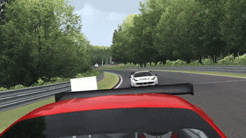 Assetto Corsa Speed GIF by Curated Stance!