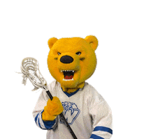 Bear Mascot Sticker by Western New England University