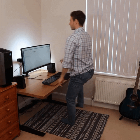 Working From Home GIF