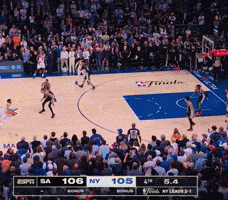 Knicks GIF