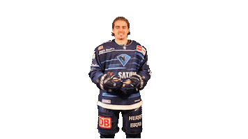 Dance Dancing Sticker by ERC Ingolstadt