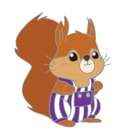 Football Squirrel Sticker by uc_uww