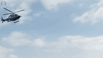 New York GIF