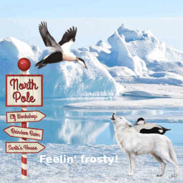 North Pole Snow GIF