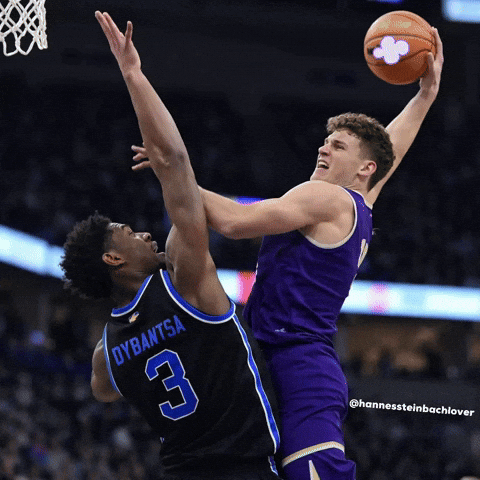 Hannessteinbachlover GIF