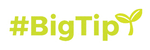 Bigseed Sticker