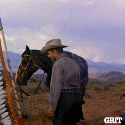 breaking old west GIF by GritTV