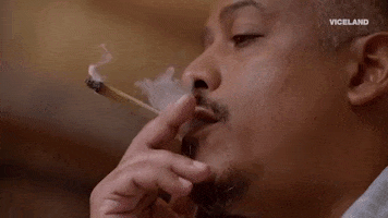 weed miguel trinidad GIF by Bong Appétit