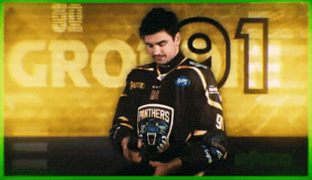 Ice Hockey Panthers GIF
